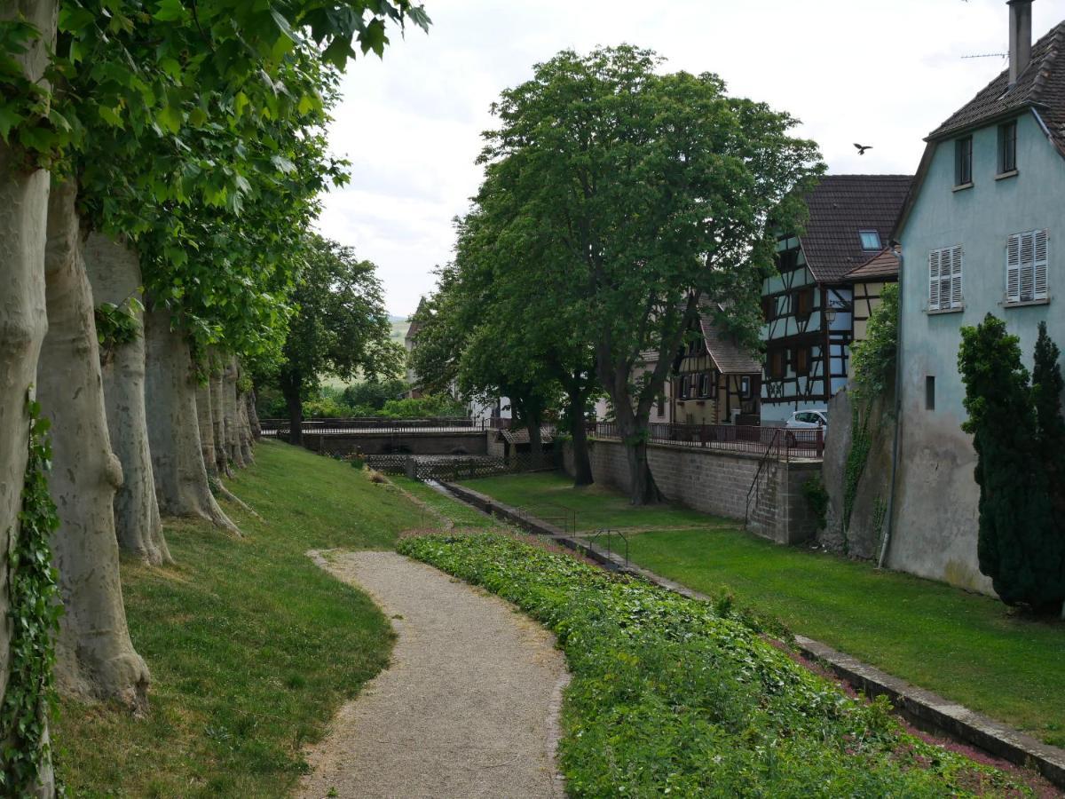 La Cour St-Fulrad - Appartements Saint-Hippolyte  Dış mekan fotoğraf